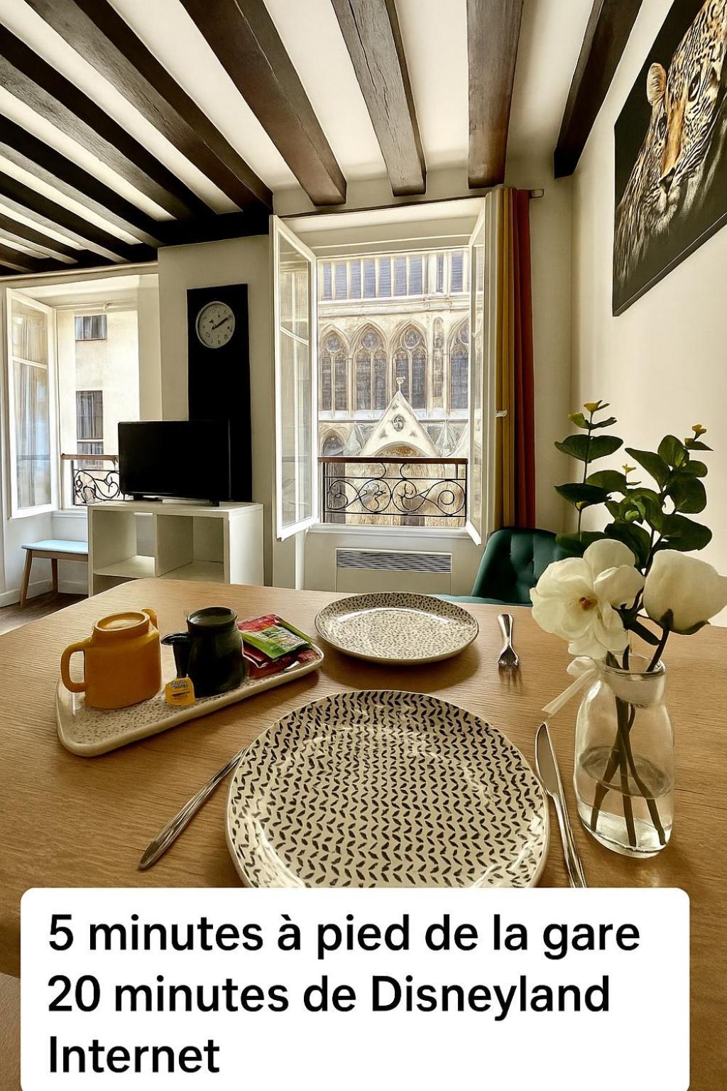 Appartement Vue Cathedrale- Centre Ville Meaux-Gare-Disney 外观 照片